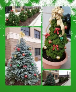 Celebrate with Holiday Displays