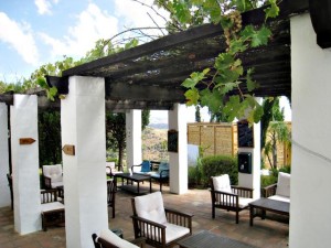 outdoor patio with vinyards