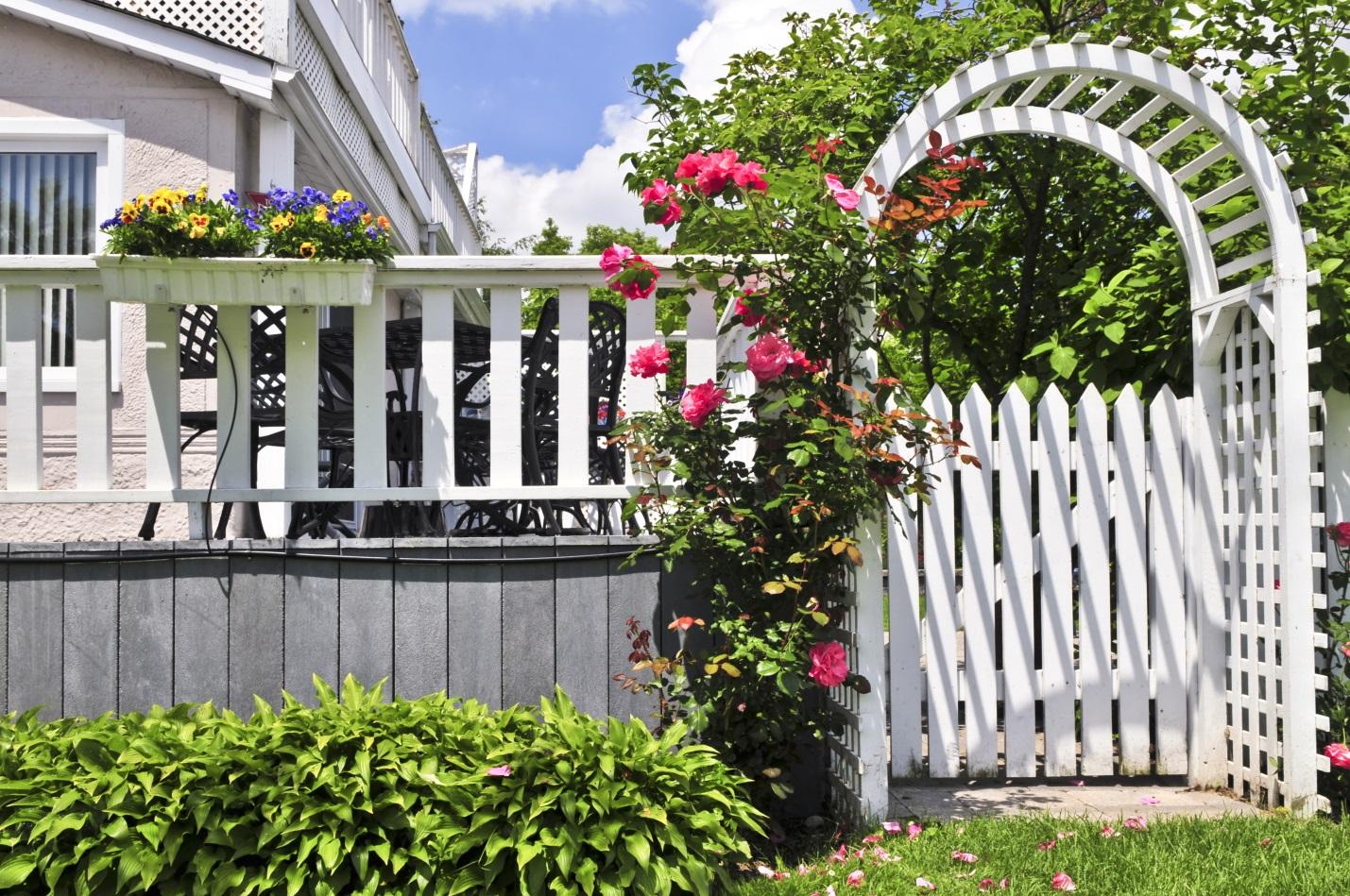 garden with white fance for plants