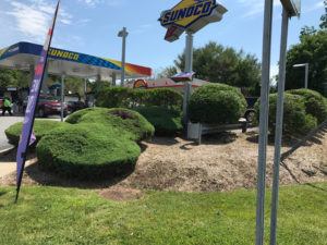 Commercial-Shrub-and-Hedge-Trimming-Sunoco-Brown-Mulch