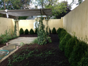 courtyard with green landscape