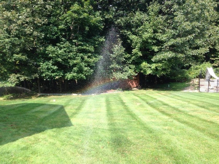 lawn yard with rainbow