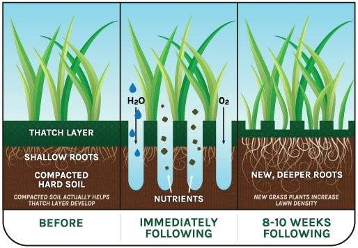 soil growth
