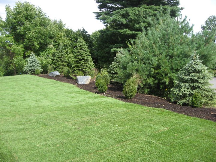 quality green landscaping with landscaping rocks