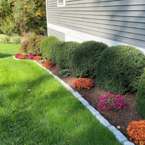Edging-Mulch-installation