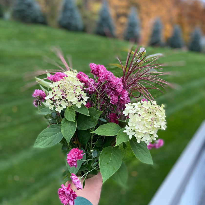 bunch of flowers in a hand